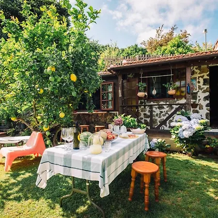 La Hortensia Icod De Los Vinos Extérieur photo