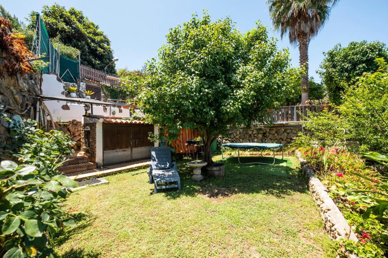 Holiday home La Hortensia Icod De Los Vinos